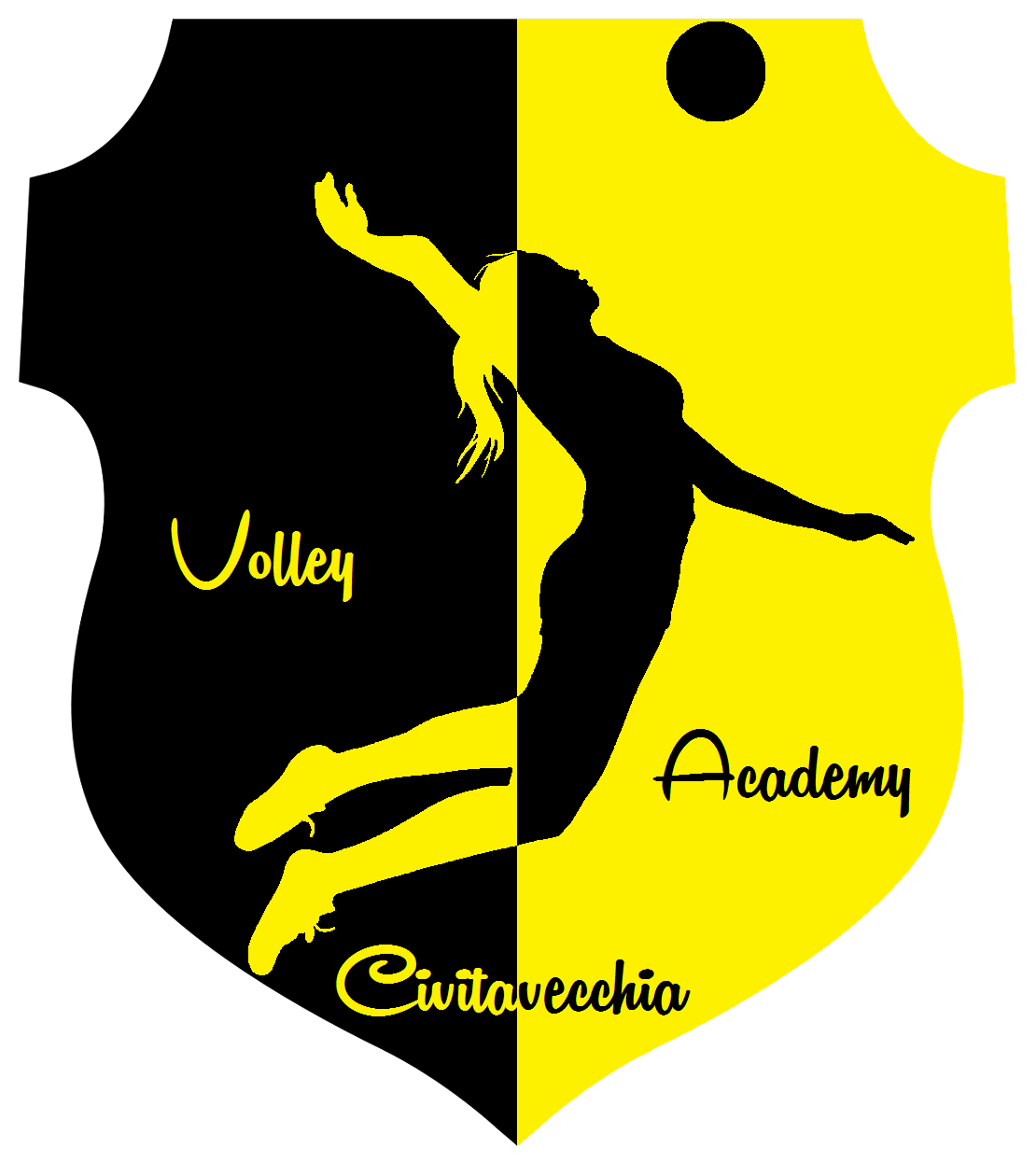 logo volley